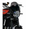 ERMAX ΖΕΛΑΤΊΝΑ NOSE KAWASAKI Z 900 RS 2018-2024 29CM ΣΚΟΎΡΟ ΦΙΜΈ