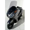 ERMAX ΖΕΛΑΤΊΝΑ HONDA FORZA 300 2013-2017 ΨΗΛΉ 66CM ΕΛΑΦΡΏΣ ΦΙΜΈ