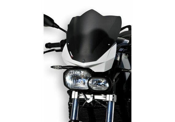 ERMAX ΖΕΛΑΤΊΝΑ NOSE BMW F 800R 2009-2014 32CM ΣΚΟΎΡΟ ΦΙΜΈ