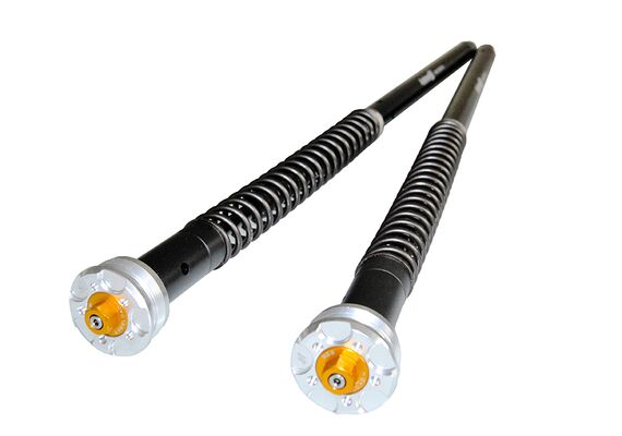 ANDREANI CARTRIDGE MISANO EVO 2 FORZA 750 2021-2024