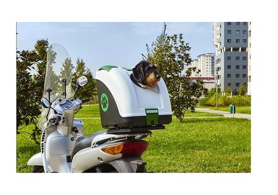 ΒΑΛΊΤΣΑ ΜΕΤΑΦΟΡΆΣ ΚΑΤΟΙΚΙΔΊΟΥ POW ΆΣΠΡΗ ΜΑΎΡΗ