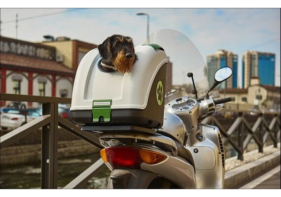 ΒΑΛΊΤΣΑ ΜΕΤΑΦΟΡΆΣ ΚΑΤΟΙΚΙΔΊΟΥ POW ΆΣΠΡΗ ΜΑΎΡΗ