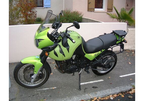 ERMAX ΖΕΛΑΤΊΝΑ TRIUMPH TIGER 855-955 1999-2006 ΨΗΛΉ 38CM ΕΛΑΦΡΏΣ ΦΙΜΈ