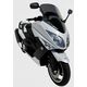 ERMAX ΖΕΛΑΤΊΝΑ YAMAHA TMAX 500 2008-2011 ΚΟΝΤΉ 68CM ΣΚΟΎΡΟ ΦΙΜΈ